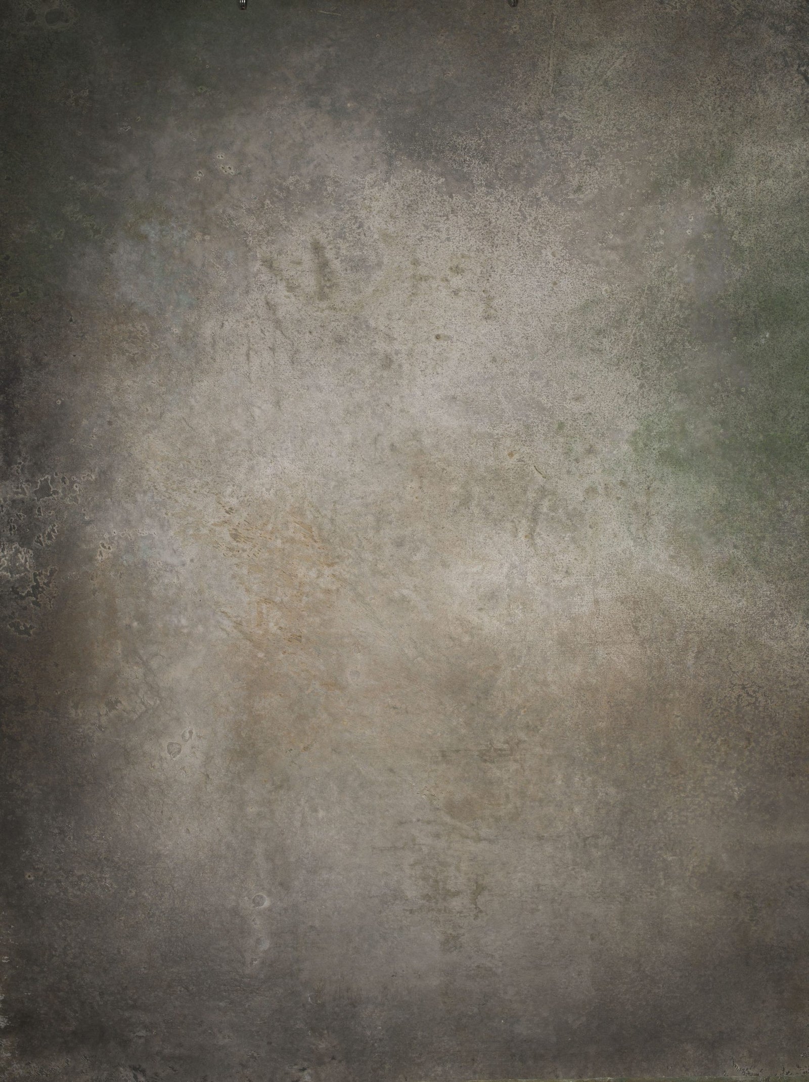 14646 Warm Grey Green Strong Text M