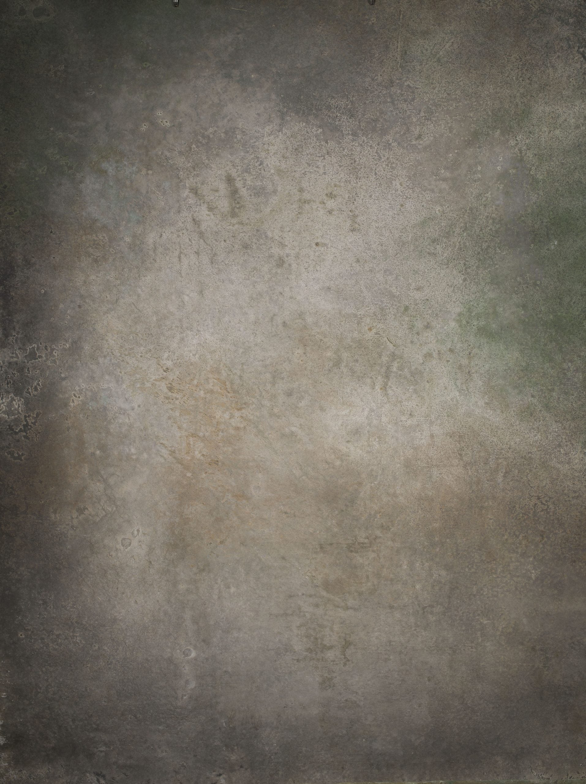 14646 Warm Grey Green Strong Text M