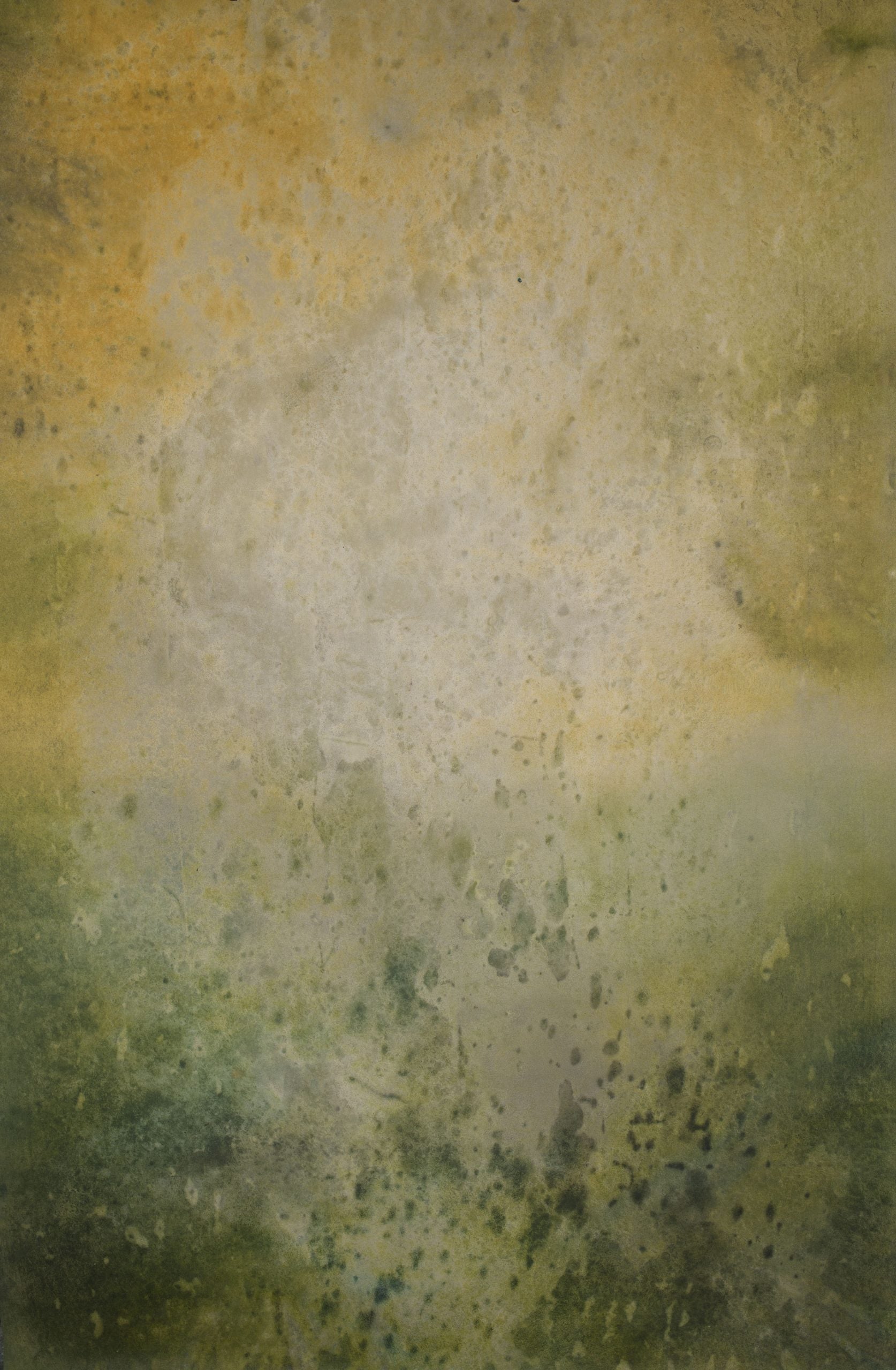 14679 Green Ochre Strong Text ST
