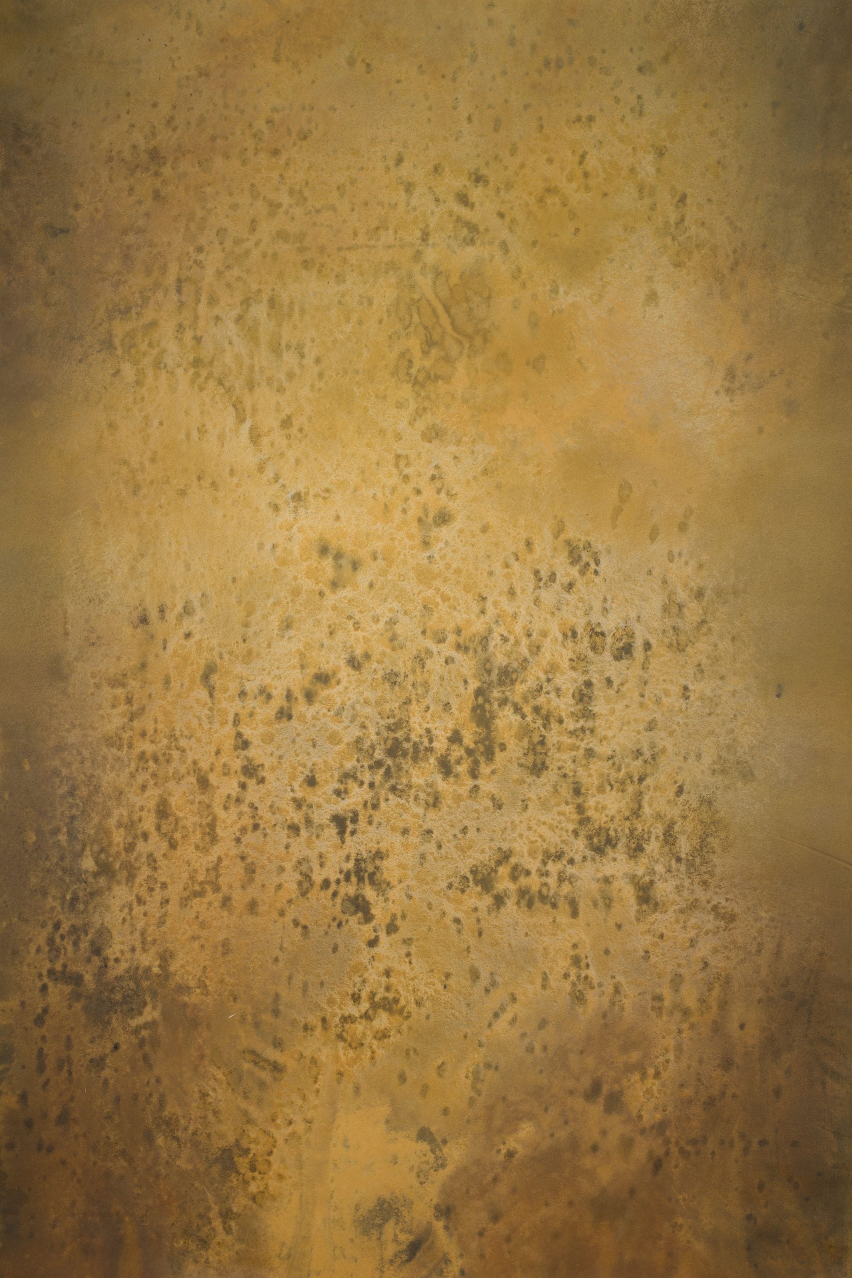 14708 Ochre Strong Text ST