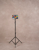 1472 Beige Mid Text XL Size Hand Painted Backdrops