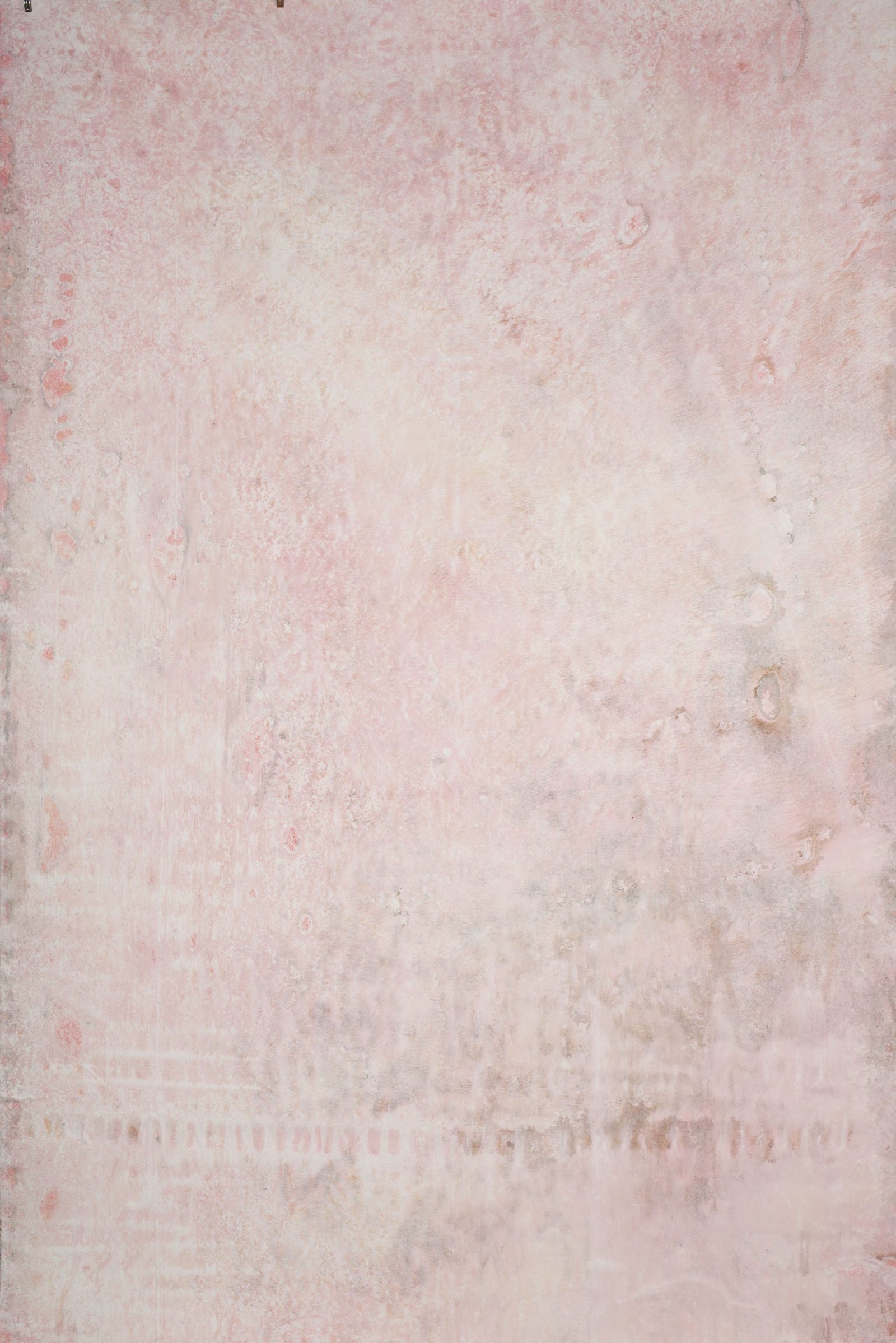 14785 Rose Mid Text ST