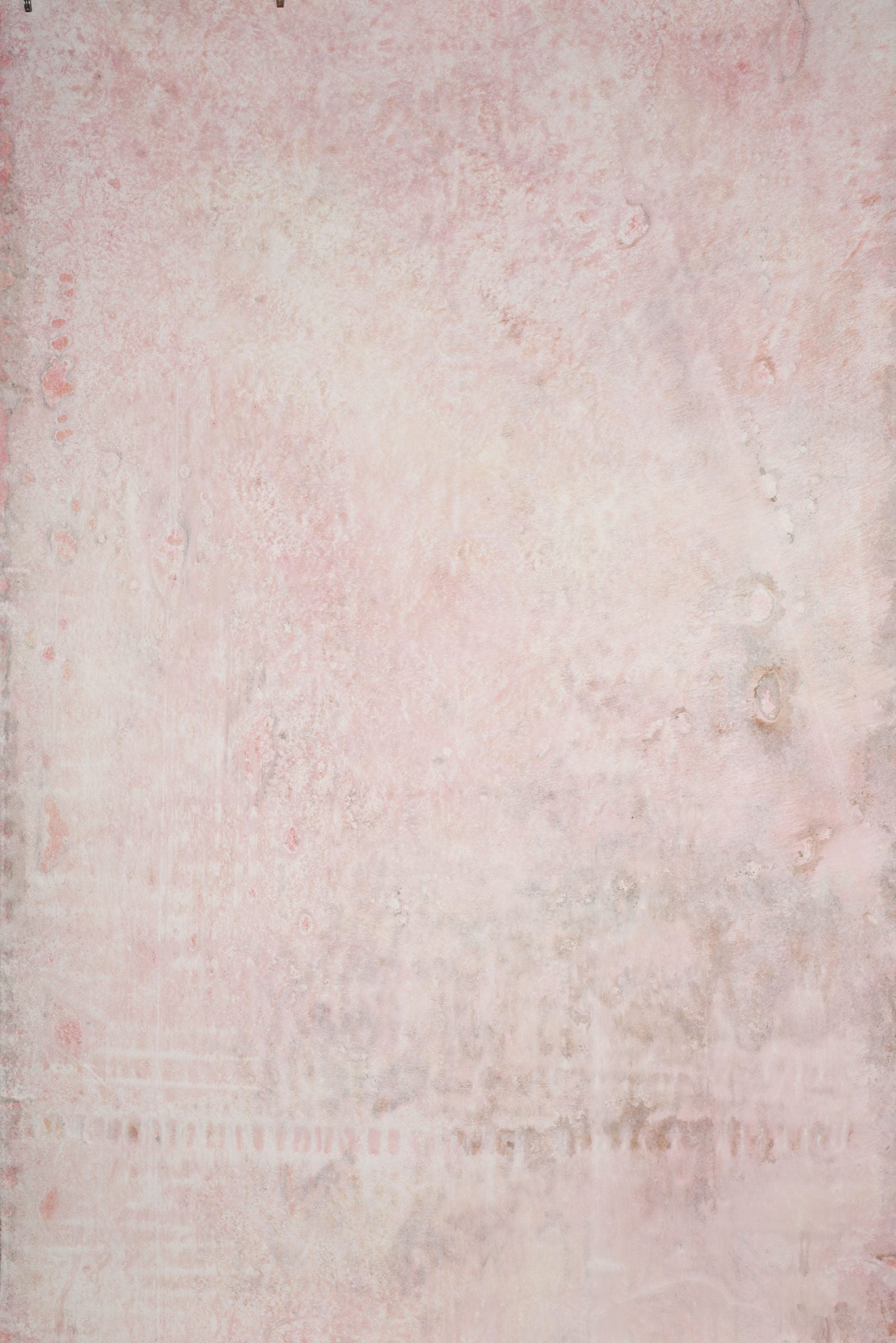 14785 Rose Mid Text ST