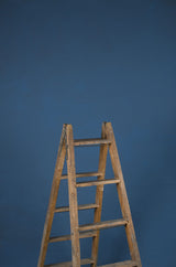 14882 Blue Low Text ST