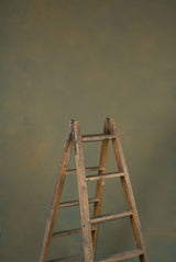 14885 Ochre Green Mid Text ST