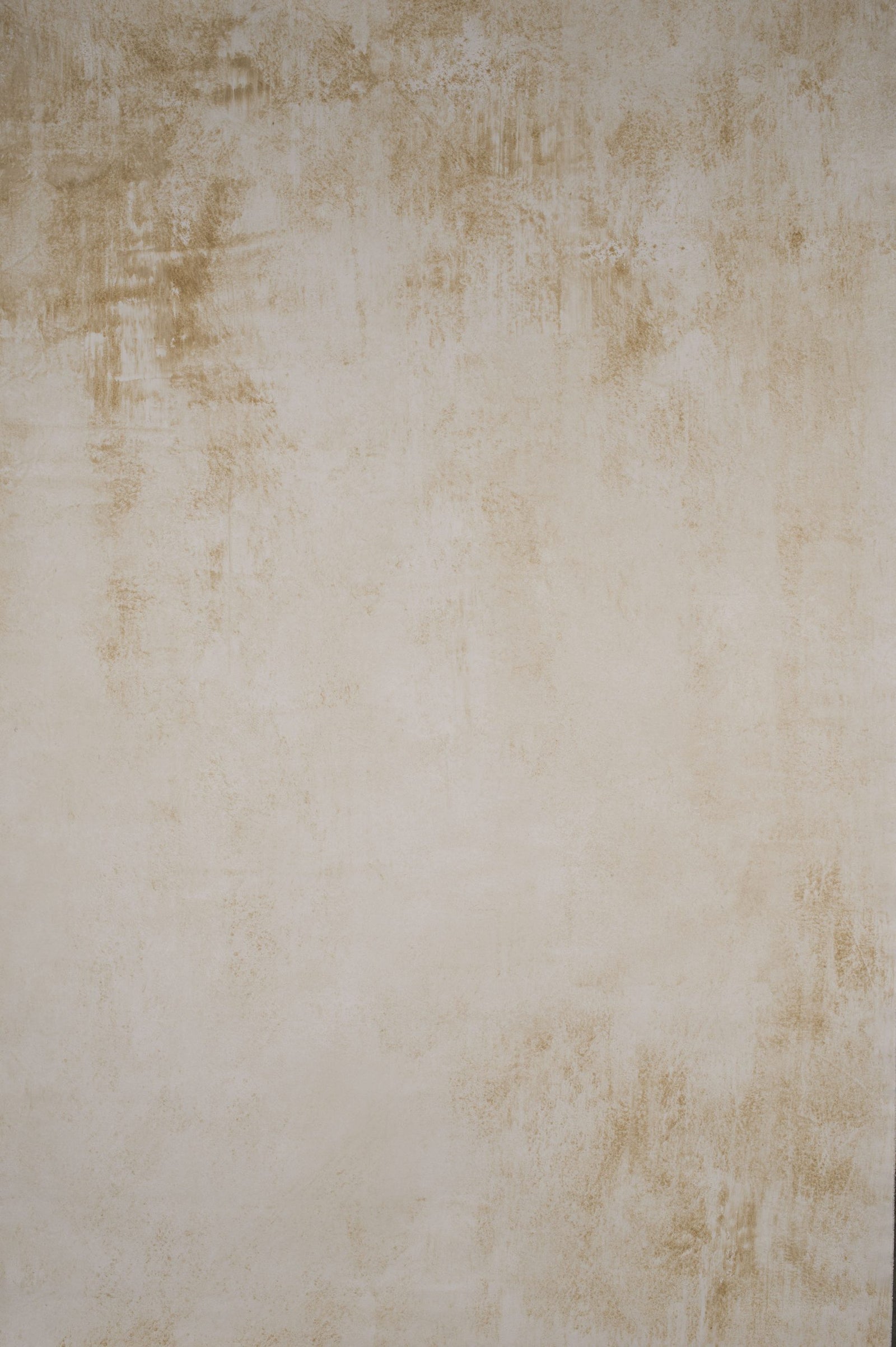 14905 Light Grey Ochre Strong Text ST