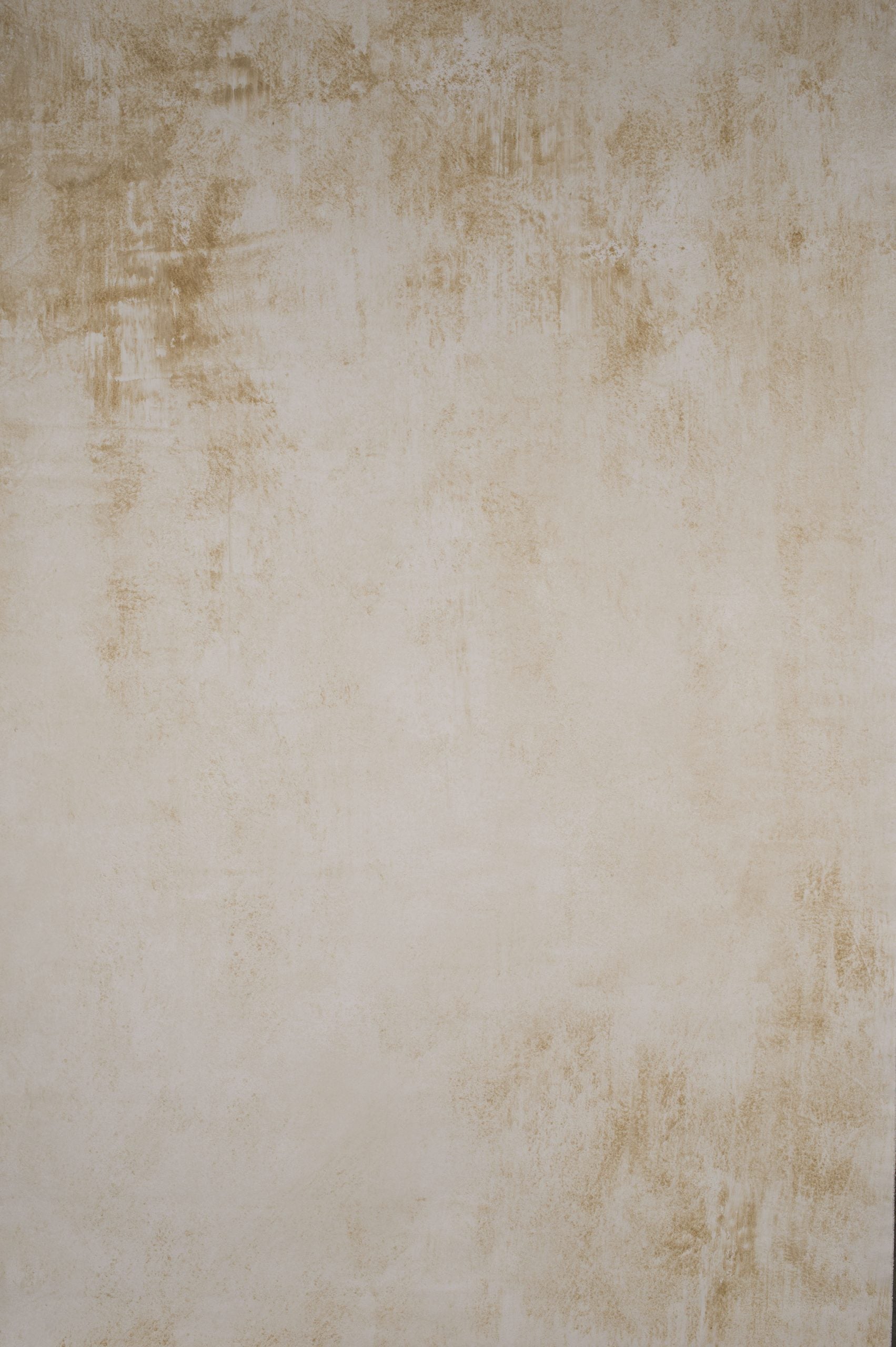 14905 Light Grey Ochre Strong Text ST