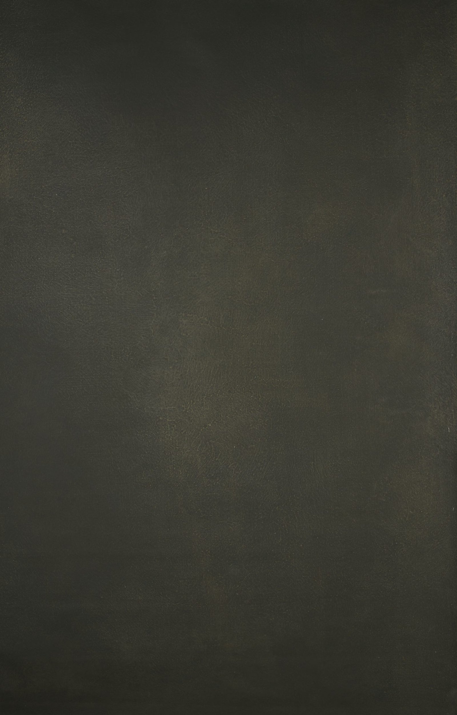 14907 Olive Green Distressed Text ST