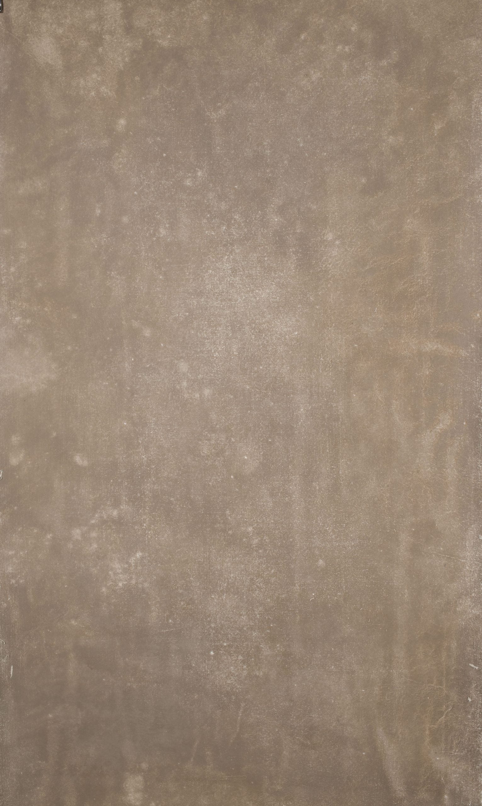14917 Beige Distressed Text XS