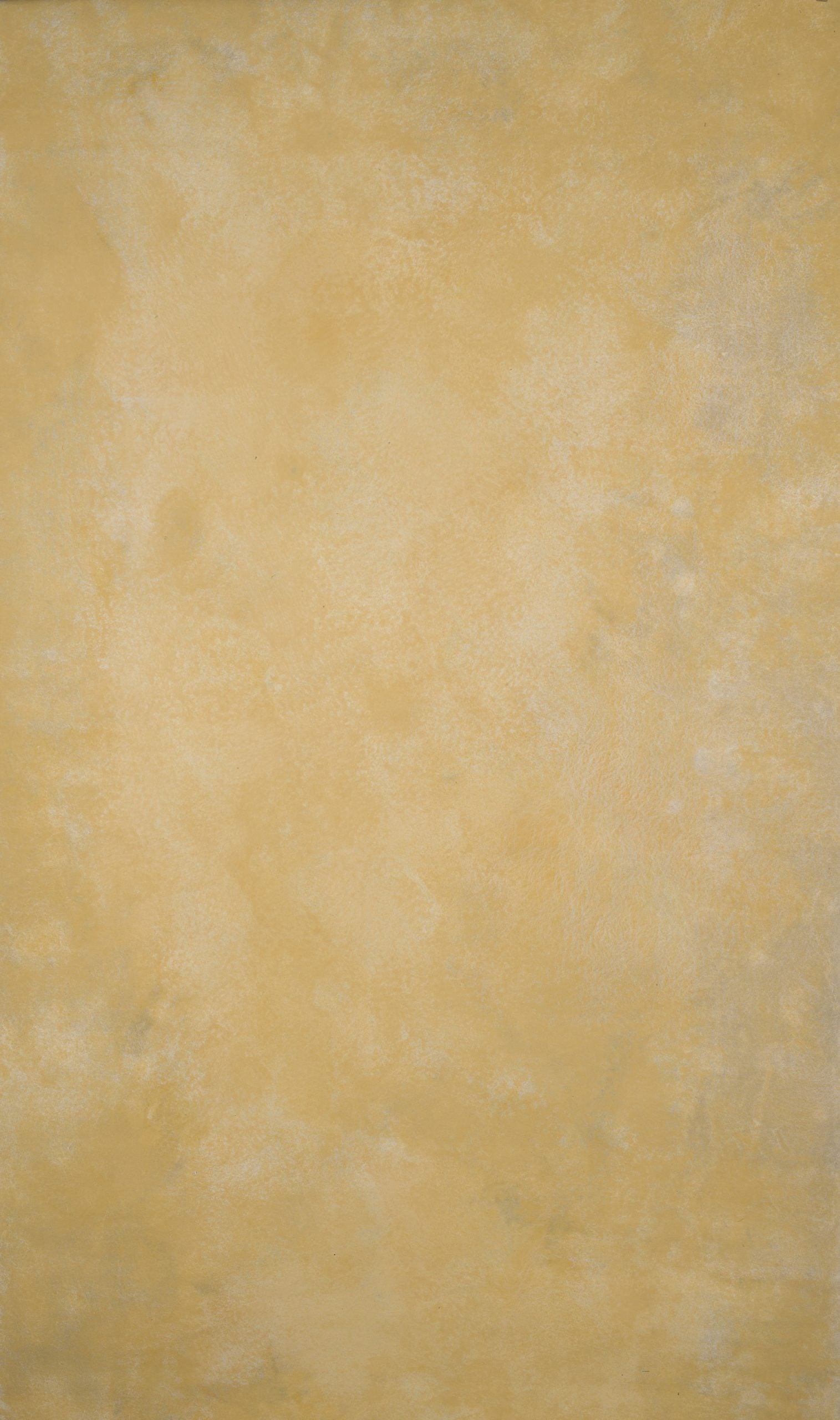 14918 Ochre Mid Text XS