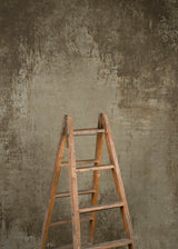 14952 Warm Grey Brown Strong Text L