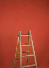 14966 Red Low Text M