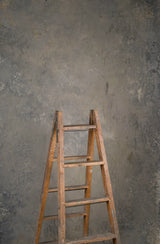 15038 Warm Grey Mid Text ST