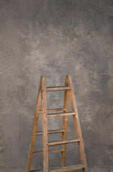 15053 Warm Grey Mid Text ST