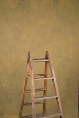 15062 Ochre Mid Text ST