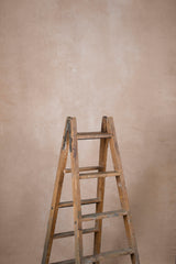 15186 Beige Low Text ST