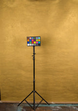 Gold Hand Painted Backdrop Mid Text Large Size 15366
