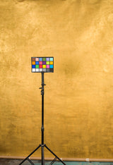Gold Hand Painted Backdrop Mid Text Large Size 15369