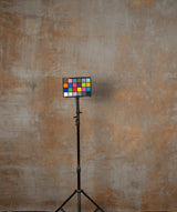 15595 Beige Strong Text Large Hand Painted Backdrops