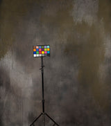 15604 Grey Strong Text Large Hand Painted Backdrops