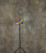 15607 Cold Grey Strong Text Large Hand Painted Backdrops