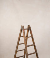 15623 Light Beige Low Text Large Hand Painted Backdrops