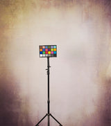 15628 Light Rose Low Text Large Hand Painted Backdrops