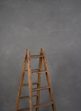 15629 Cold Grey Low Text Mid Size Hand Painted Backdrops