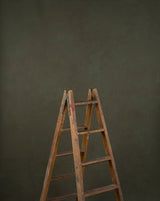 15646 Green Mid Text Mid Size Hand Painted Backdrops