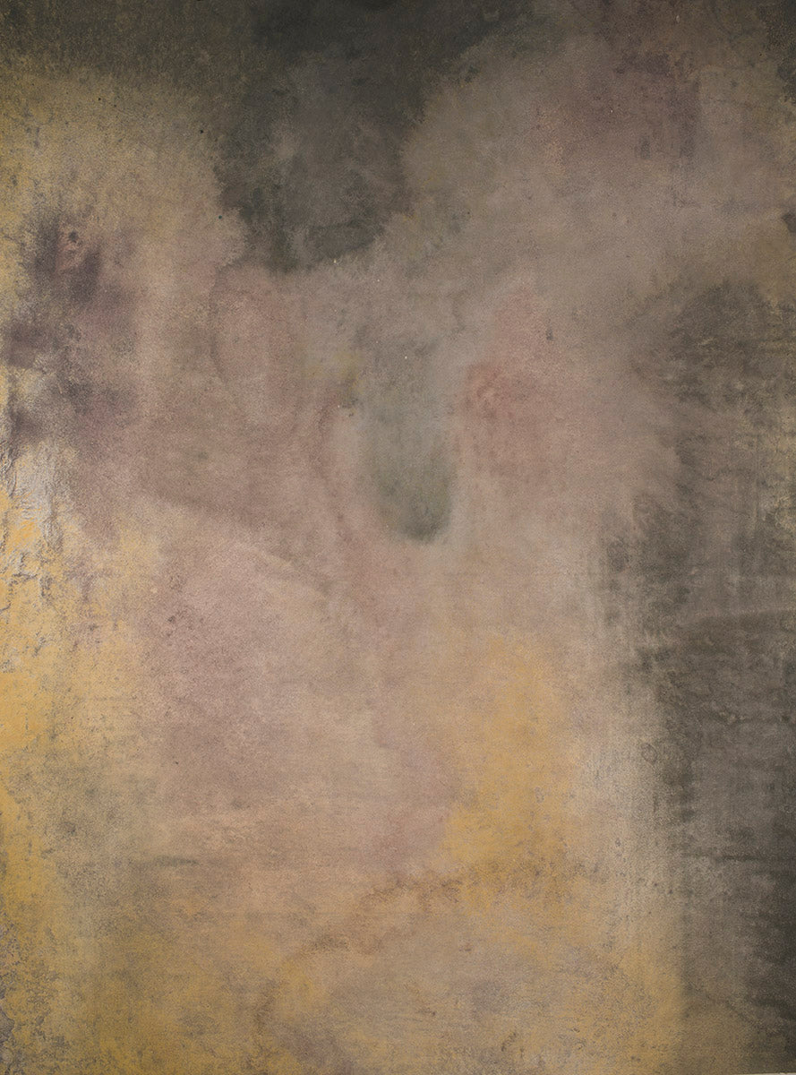 15674 Rose Ochre Grey Strong Text Mid Size Hand Painted Backdrops