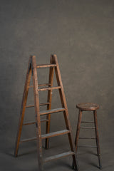 353 warm grey