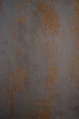 4633 Cold Grey Rusty Stront Texture Standard