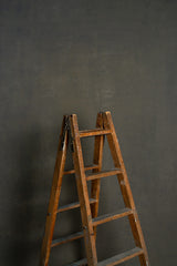 5282 Warm Grey Mid Text Mid