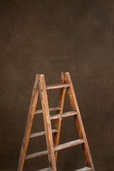 5356 Brown Mid Text Large