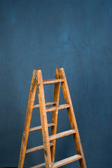 5387 Blue Low Text MID