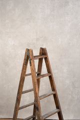 5406 Light Grey Low Text MID