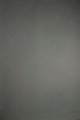 5560 Cold Grey Low Text L