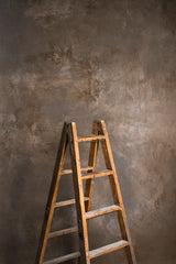 5567 Warm Grey Strong Text MID