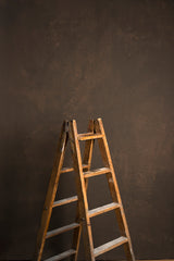 5585 Warm Grey Mid Text MID