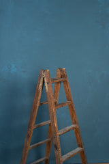 5732 Blue Mid Text Standard