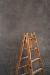 5815 Cold Grey Mid Text St