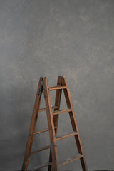 5977 Warm Grey Mid Text M