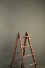 6440 Green Beige Mid Text M