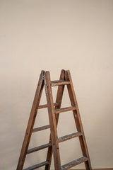 6551 Beige Low Text ST