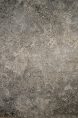 6565 Warm Grey Strong Text L