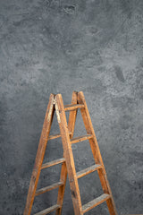 6567 Cold Grey Mid Text L