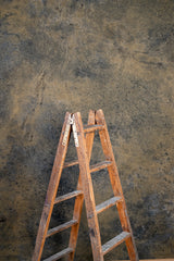 6571 Ochre Strong Text L