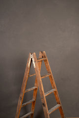6578 Warm Grey Mid Text L