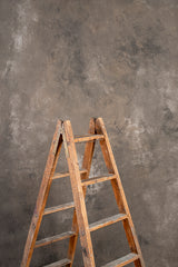 6625 Warm Grey Mid Text M