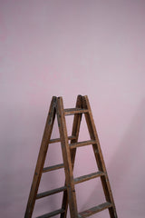 7048 Rose Low Text M